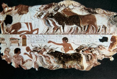 Falfestmény Nebarunun sírjából, Théba, Egyiptom, ie 1350 körül alkotó: Unbekannt