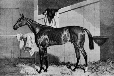 Warlock, 19. század, 1911 alkotó: Unbekannt