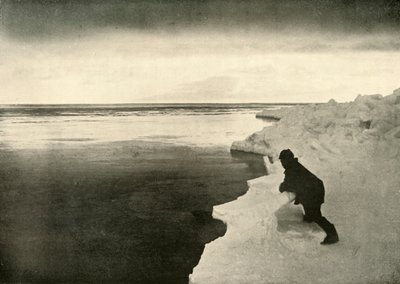 Fókák figyelése a jégszélen, c1908, 1909. alkotó: Unbekannt