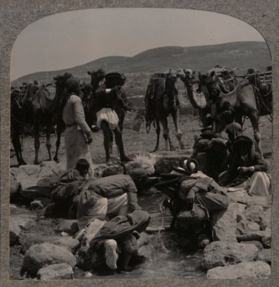 Tevéitatás a Jacobs Wellben, 1900 alkotó: Unbekannt