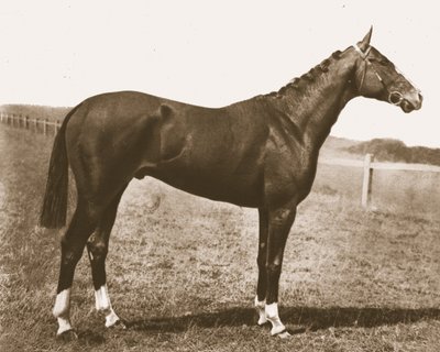 szélkakas, 1911. alkotó: Unbekannt