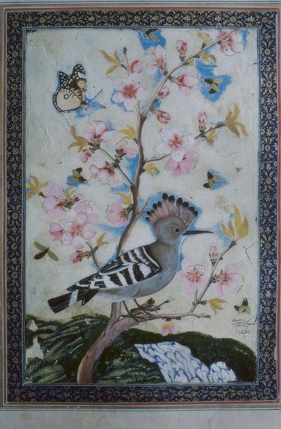 Wiedehopf / ind. Miniatűr alkotó: Unbekannt