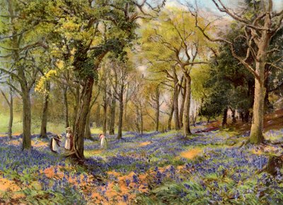 Vad jácintok egy Surrey Copse-ban, 1906 alkotó: Unbekannt