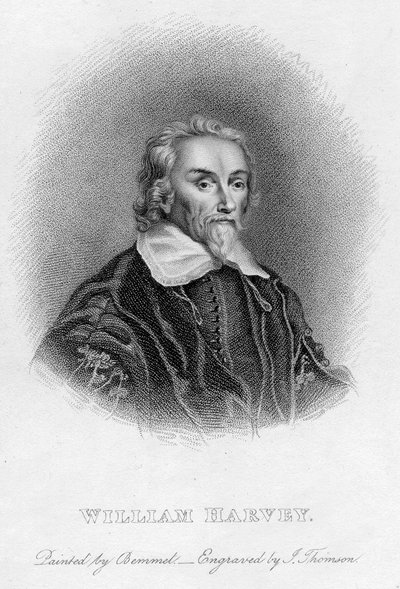 William Harvey 1578-1657 angol orvos, XVII. század alkotó: Unbekannt