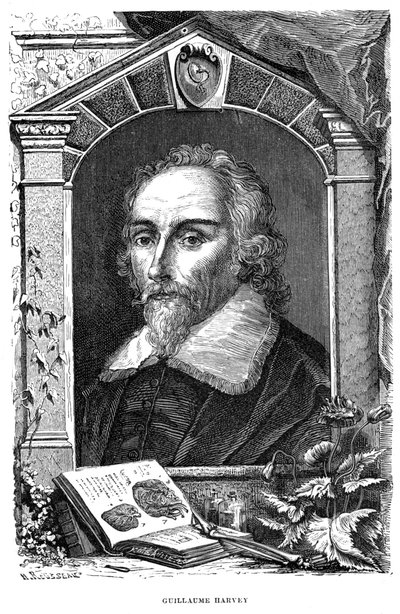 William Harvey 1578-1657 angol orvos, XVII. század alkotó: Unbekannt