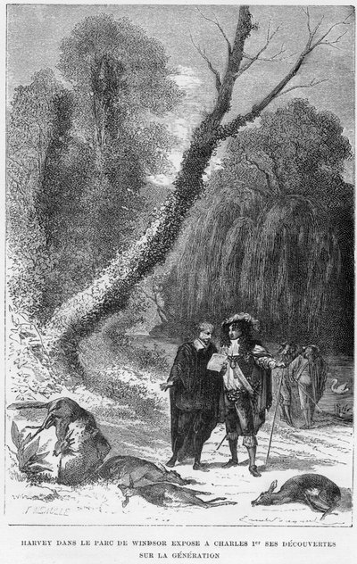 William Harvey angol orvos a Windsor Parkban, 17. század 1870 alkotó: Unbekannt