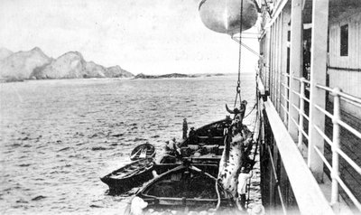 Tehén csörlése egy csónakra Chile partjainál, 1900-as évek alkotó: Unbekannt