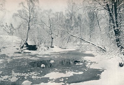 Téli kilátás a Skansen skanzenre, c1900 alkotó: Unbekannt