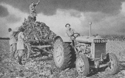 A női szárazföldi hadsereg termést emel, második világháború, 1940 alkotó: Unbekannt