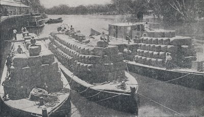 Gyapjúbárkák a Murray folyón, 1923. alkotó: Unbekannt