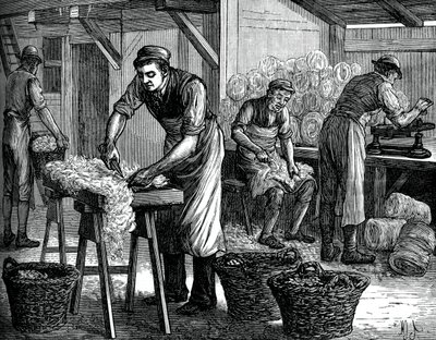 Gyapjúválogatók, c1880 alkotó: Unbekannt