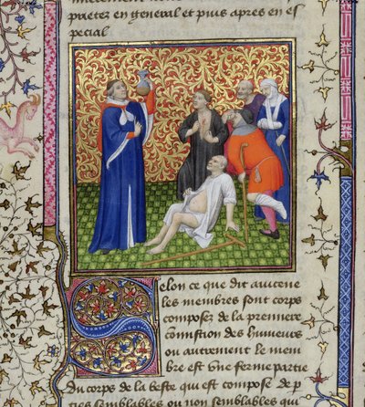 Ms.251 f.54v Orvos a pácienseivel, a Des Proprietez des Choses-ból, 1415 körül alkotó: Unbekannt Unbekannt