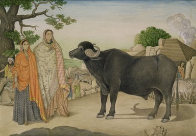 Két falusi nő és egy bivaly Rania faluban, 1816 körül, indián alkotó: Unbekannt Unbekannt