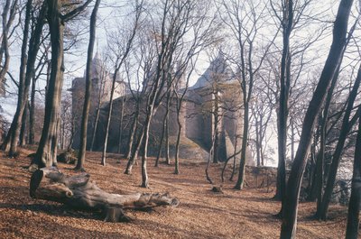 Kilátás a Castle Cochra, Dél-Walesben, az erdőből alkotó: Unbekannt Unbekannt