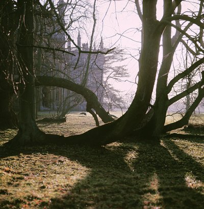 Kilátás az északi frontra, Corsham Court, Wiltshire alkotó: Unbekannt Unbekannt