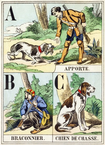 A B C: Hozd, orvvadász, vadászkutya – A vadászábécé, 1890 körül (metszet) alkotó: Unbekannt