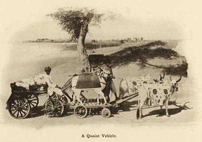 Az ilyen ökrösszekerek ma már az ókorban elvesznek ; 1900-as évek eleje (fotó) alkotó: Unbekannter Künstler