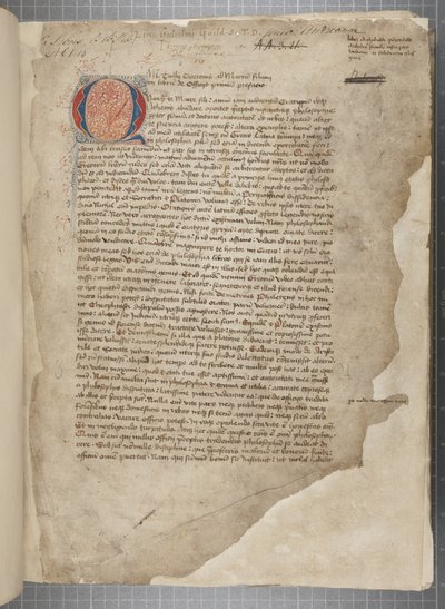 Marcus Tullius Cicero filozófiai munkáinak átirata, három kézben, látszólag az 1471-es editio romanából, széljegyekkel Archibald Whitelaw és mások kezében, 1480 körül (tinta pergamenen) alkotó: Unbekannt