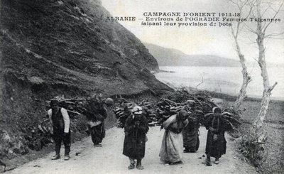 Albánia: Cigány nők faköteget viselő hátukon - Képeslap 1914-1918 alkotó: William M. Timlin