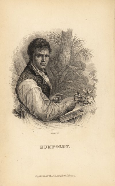 Alexander von Humboldt német felfedező, természettudós és botanikus alkotó: Unbekannt