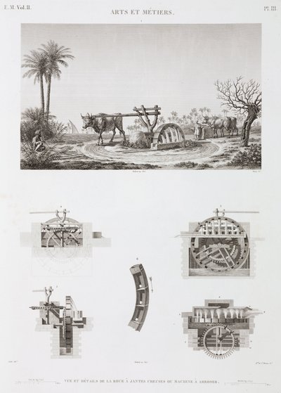 Animal Power Animal-powered irrigation, Egyiptom, c 1798 alkotó: Unbekannt