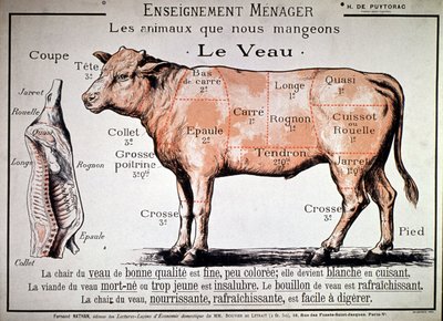 Állatok, amelyeket megeszünk : a borjú, 1910 körül (nyomtatás) alkotó: Unbekannter Künstler