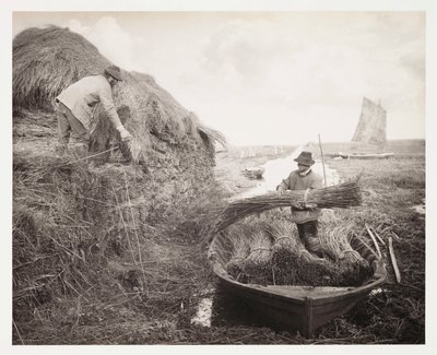 Szántóföldművelés, aratás „Ricking the Reed” alkotó: Unbekannter Künstler
