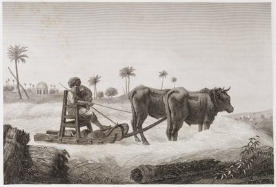 Szántóföldi gazdálkodás, betakarítás Cséplőgép, Egyiptom, 1798 alkotó: Unbekannt