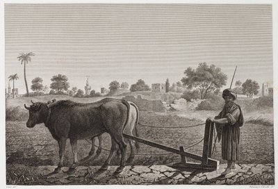Szántóföldi gazdálkodás, szántás Szántás ökrökkel, Egyiptom, 1798 alkotó: Unbekannt