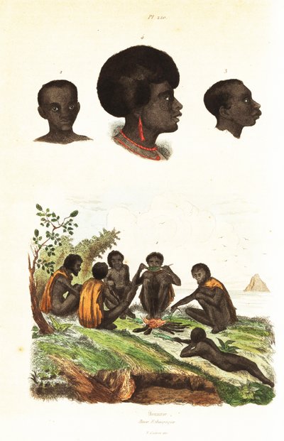 Ausztrál bennszülöttek és Waigeo őslakosainak fejei, Nyugat-Pápua 1834-1839 (metszet) alkotó: Unbekannter Künstler
