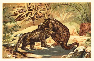 Harc a Megalosaurus bucklandii és az Iguanodon bernissar 1908 között (litográfia) alkotó: Unbekannter Künstler