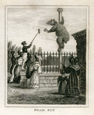 Medvegödör - Regent