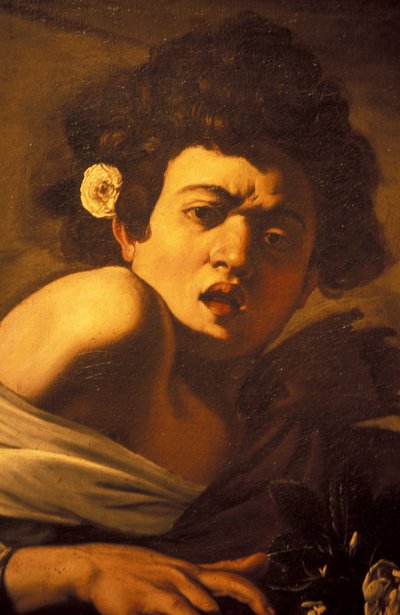 Gyík megharapott fiú (részlet), Caravaggio műalkotás, Palazzo Ducale, Genova, Liguria, Olaszország alkotó: Unbekannt