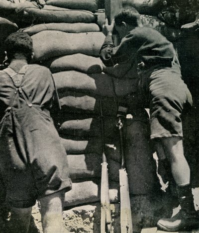Brit csapatok khaki-drill rövidnadrágban harcolnak, a Gallipoli-félszigeten alkotó: Unbekannt