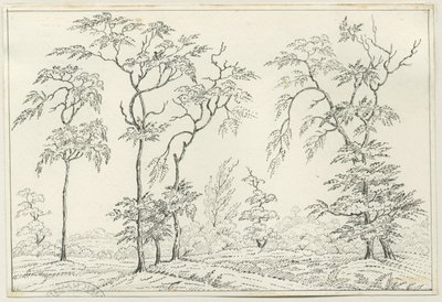 Cannock Chase: toll- és ceruzarajz, nd [?19. század] alkotó: Unbekannt