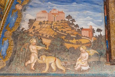 Torrechiara kastély, Camera d