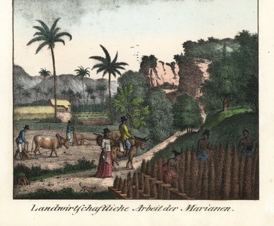 Chamarro földművesek szántanak egy mezőt és ültetvénysorokat vágnak a Mariana-szigeteken (USA). Illusztráció Louis de Freycinet (1779-1842) Világkörüli utazásából (1824). Litográfia a könyvhöz: "Galerie complete en tableaux fideles des peu alkotó: Unbekannter Künstler