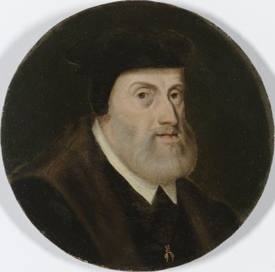 V. Károly, római római császár, Kr. e. 1550 (olaj a panelen) alkotó: Unbekannt