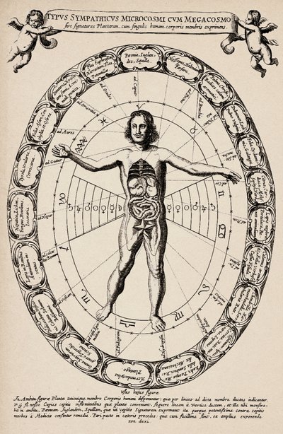 A mikrokozmosz és a makrokozmosz közötti megfelelés. Athanase Kircher (1601-1680) "Mundus subterraneus" című művéből vett lemez. alkotó: Unbekannter Künstler