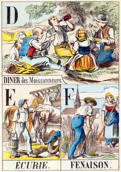 D E F: Diner des Moissonneurs, Ecurie, Fenaison - "A farm ábécéje" 19. század vége (metszet) alkotó: Unbekannt