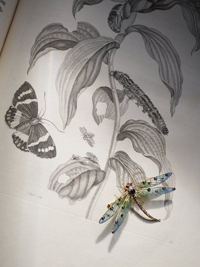 Deborah Devonshire bogár- és rovarékszerei a „Metamorphosis Insectorum” tetején, Maria Sibylla Merian alkotó: Thomas Kelly