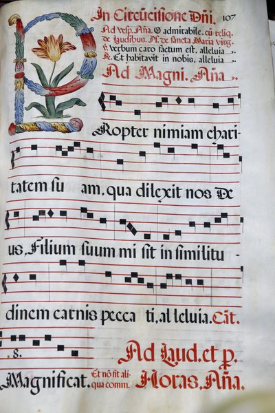 A Domus Galilaeae-t vagy a Galileai Házat a Katolikus Szervezet, a Neokatekumenális Út, az Antiphonary, a Jézus körülmetélése, a Boldogság hegye, Izrael működteti. alkotó: Unbekannt