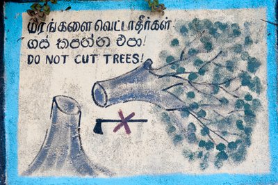 Környezetvédelem; festett jel; „”” Ne vágj fát””””” kivágott fát és áthúzott fejszét ábrázol; Nuwara Eliya; Sri Lanka; Ázsia alkotó: Unbekannt