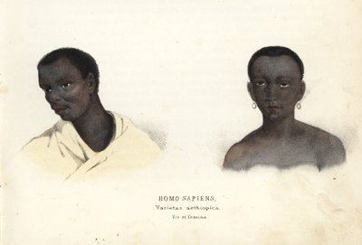 Etióp férfi és nő. Kézzel színezett acélmetszet Georg Friedrich Treitschke természetrajzi galériájából, Naturhistorischer Bildersaal des Thierreiches, Liepzig-1842. alkotó: Unbekannter Künstler