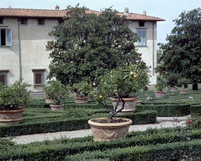 A Medicea di Castello villa és a kert külső képe (fotó) alkotó: Unbekannt