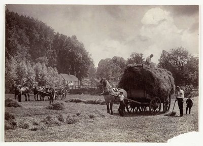 Gazdálkodási jelenetek, betakarítás és tárolás, 1900 előtti szénakészítés, c 1890 alkotó: Unbekannt