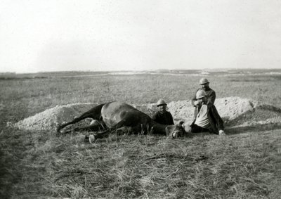 Első világháború 14-18 (1914-1918): három francia katona eltemet egy halott lovat - fénykép üveglapon - alkotó: Unbekannter Künstler