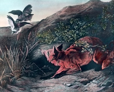 Fox alkotó: Unbekannter Künstler