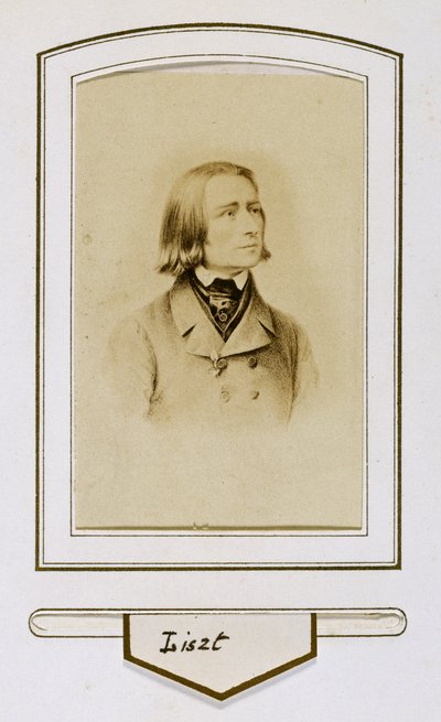 Franz Liszt when young alkotó: Unbekannter Künstler