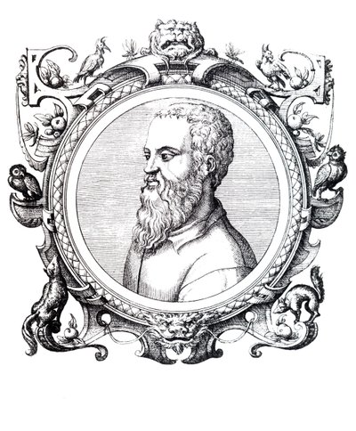 Guillaume Rondelet. alkotó: Unbekannt